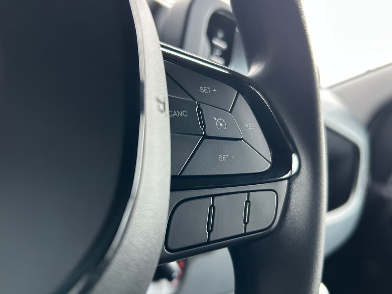 Fiat Panda 1.0 MHEV *PANDINA*